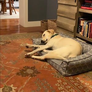 Meet your Posher, Nancy